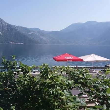 Apartments Dabovic Kotor Exterior photo