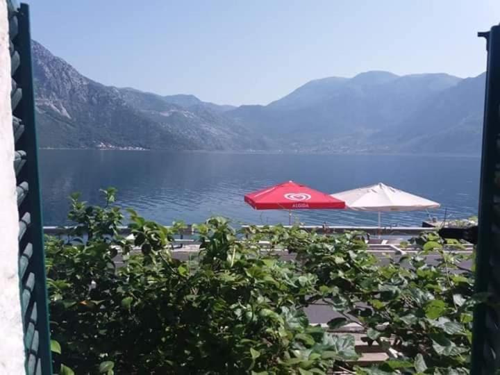 Apartments Dabovic Kotor Exterior photo