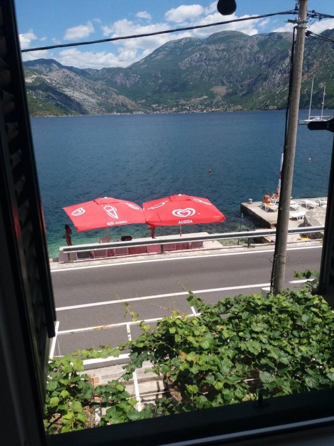 Apartments Dabovic Kotor Exterior photo