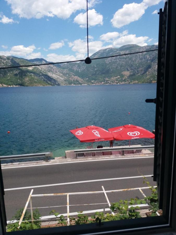 Apartments Dabovic Kotor Exterior photo