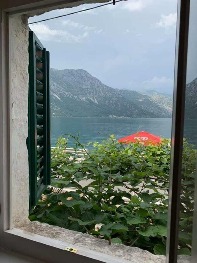 Apartments Dabovic Kotor Exterior photo
