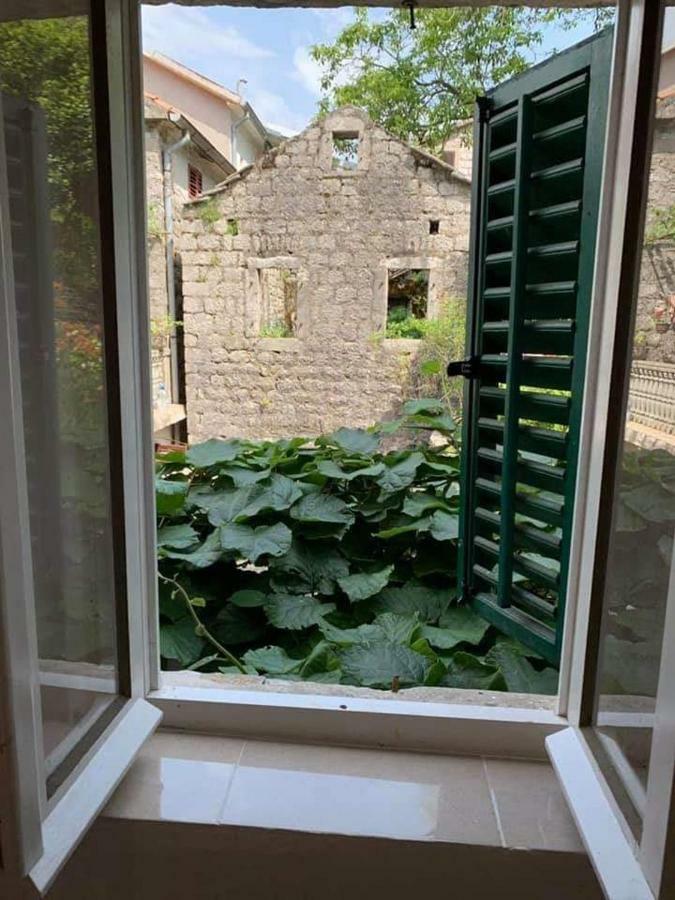 Apartments Dabovic Kotor Exterior photo